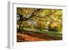 Autumn (fall) colours, Chatsworth Park, stately home of the Duke of Devonshire, Chesterfield, Derby-Eleanor Scriven-Framed Photographic Print