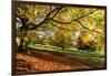 Autumn (fall) colours, Chatsworth Park, stately home of the Duke of Devonshire, Chesterfield, Derby-Eleanor Scriven-Framed Photographic Print