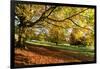 Autumn (fall) colours, Chatsworth Park, stately home of the Duke of Devonshire, Chesterfield, Derby-Eleanor Scriven-Framed Photographic Print