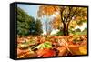 Autumn, Fall Landscape in Park. Colorful Leaves, Sunny Blue Sky.-Michal Bednarek-Framed Stretched Canvas