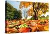 Autumn, Fall Landscape in Park. Colorful Leaves, Sunny Blue Sky.-Michal Bednarek-Stretched Canvas