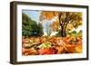 Autumn, Fall Landscape in Park. Colorful Leaves, Sunny Blue Sky.-Michal Bednarek-Framed Photographic Print