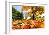 Autumn, Fall Landscape in Park. Colorful Leaves, Sunny Blue Sky.-Michal Bednarek-Framed Photographic Print