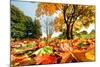 Autumn, Fall Landscape in Park. Colorful Leaves, Sunny Blue Sky.-Michal Bednarek-Mounted Photographic Print