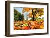 Autumn, Fall Landscape in Park. Colorful Leaves, Sunny Blue Sky.-Michal Bednarek-Framed Photographic Print