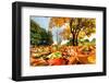 Autumn, Fall Landscape in Park. Colorful Leaves, Sunny Blue Sky.-Michal Bednarek-Framed Photographic Print