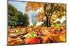 Autumn, Fall Landscape in Park. Colorful Leaves, Sunny Blue Sky.-Michal Bednarek-Mounted Photographic Print