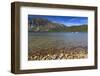 Autumn (Fall) Leaves on the Shore of Phelps Lake, Grand Teton National Park, Wyoming, Usa-Eleanor Scriven-Framed Photographic Print