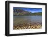 Autumn (Fall) Leaves on the Shore of Phelps Lake, Grand Teton National Park, Wyoming, Usa-Eleanor Scriven-Framed Photographic Print