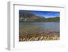 Autumn (Fall) Leaves on the Shore of Phelps Lake, Grand Teton National Park, Wyoming, Usa-Eleanor Scriven-Framed Photographic Print