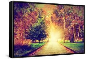 Autumn, Fall Park. Wooden Path towards the Sun. Colorful Leaves, Romantic Aura and Concepts of New-Michal Bednarek-Framed Stretched Canvas