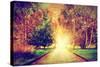 Autumn, Fall Park. Wooden Path towards the Sun. Colorful Leaves, Romantic Aura and Concepts of New-Michal Bednarek-Stretched Canvas