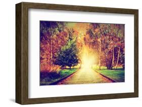 Autumn, Fall Park. Wooden Path towards the Sun. Colorful Leaves, Romantic Aura and Concepts of New-Michal Bednarek-Framed Photographic Print