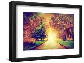 Autumn, Fall Park. Wooden Path towards the Sun. Colorful Leaves, Romantic Aura and Concepts of New-Michal Bednarek-Framed Photographic Print