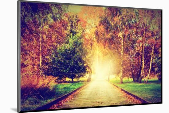 Autumn, Fall Park. Wooden Path towards the Sun. Colorful Leaves, Romantic Aura and Concepts of New-Michal Bednarek-Mounted Photographic Print
