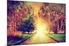 Autumn, Fall Park. Wooden Path towards the Sun. Colorful Leaves, Romantic Aura and Concepts of New-Michal Bednarek-Mounted Photographic Print