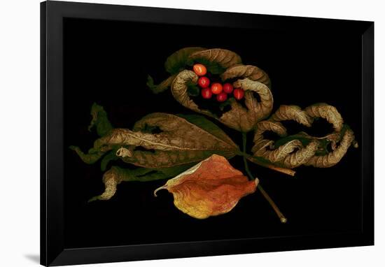 Autumn fall scanograph-null-Framed Art Print