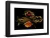 Autumn fall scanograph-null-Framed Art Print