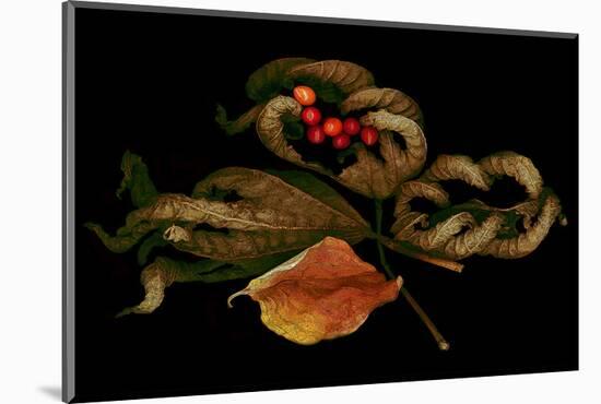 Autumn fall scanograph-null-Mounted Art Print