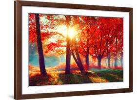 Autumn. Fall Scene. Beautiful Autumnal Park. Beauty Nature Scene. Autumn Landscape, Trees and Leave-Subbotina Anna-Framed Photographic Print