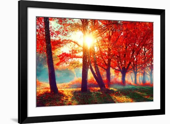 Autumn. Fall Scene. Beautiful Autumnal Park. Beauty Nature Scene. Autumn Landscape, Trees and Leave-Subbotina Anna-Framed Photographic Print