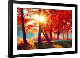 Autumn. Fall Scene. Beautiful Autumnal Park. Beauty Nature Scene. Autumn Landscape, Trees and Leave-Subbotina Anna-Framed Photographic Print