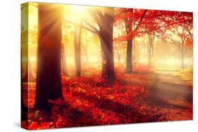 Autumn. Fall Scene. Beautiful Autumnal Park. Beauty Nature Scene. Autumn Trees and Leaves, Foggy Fo-Subbotina Anna-Stretched Canvas