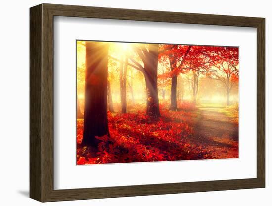 Autumn. Fall Scene. Beautiful Autumnal Park. Beauty Nature Scene. Autumn Trees and Leaves, Foggy Fo-Subbotina Anna-Framed Photographic Print