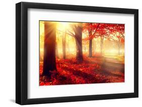 Autumn. Fall Scene. Beautiful Autumnal Park. Beauty Nature Scene. Autumn Trees and Leaves, Foggy Fo-Subbotina Anna-Framed Photographic Print