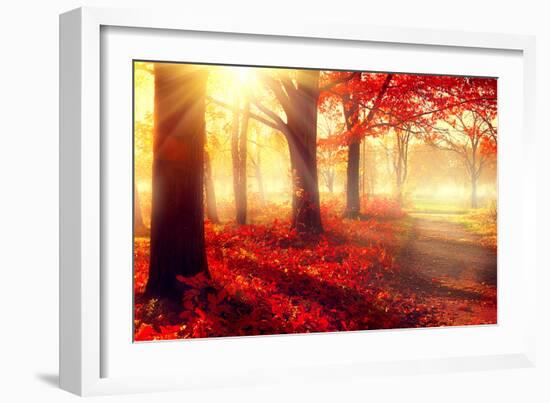 Autumn. Fall Scene. Beautiful Autumnal Park. Beauty Nature Scene. Autumn Trees and Leaves, Foggy Fo-Subbotina Anna-Framed Photographic Print