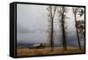 Autumn (Fall) Storm Approaches-Eleanor-Framed Stretched Canvas