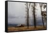 Autumn (Fall) Storm Approaches-Eleanor-Framed Stretched Canvas