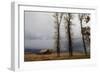 Autumn (Fall) Storm Approaches-Eleanor-Framed Photographic Print