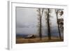 Autumn (Fall) Storm Approaches-Eleanor-Framed Photographic Print
