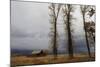 Autumn (Fall) Storm Approaches-Eleanor-Mounted Photographic Print