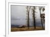 Autumn (Fall) Storm Approaches-Eleanor-Framed Photographic Print