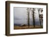 Autumn (Fall) Storm Approaches-Eleanor-Framed Premium Photographic Print