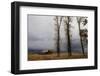 Autumn (Fall) Storm Approaches-Eleanor-Framed Premium Photographic Print