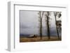 Autumn (Fall) Storm Approaches-Eleanor-Framed Premium Photographic Print