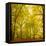 Autumn-Fall Woodland in the Chiltern Hills-Michael Gibbs-Framed Stretched Canvas