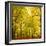 Autumn-Fall Woodland in the Chiltern Hills-Michael Gibbs-Framed Photographic Print