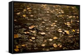 Autumn fallen leaves on the bridge-Paivi Vikstrom-Framed Stretched Canvas