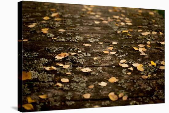 Autumn fallen leaves on the bridge-Paivi Vikstrom-Stretched Canvas