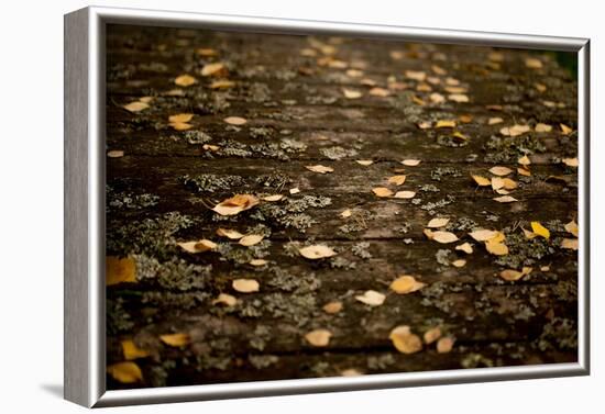 Autumn fallen leaves on the bridge-Paivi Vikstrom-Framed Photographic Print