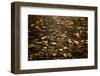 Autumn fallen leaves on the bridge-Paivi Vikstrom-Framed Photographic Print