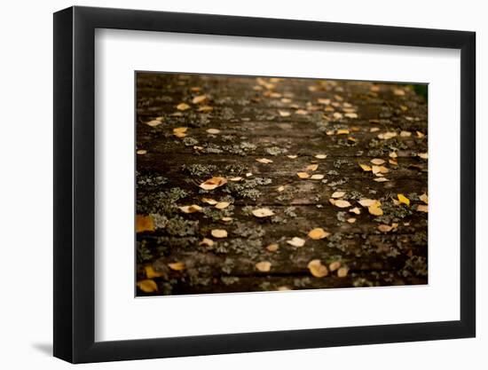 Autumn fallen leaves on the bridge-Paivi Vikstrom-Framed Photographic Print