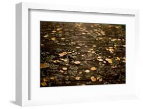 Autumn fallen leaves on the bridge-Paivi Vikstrom-Framed Photographic Print