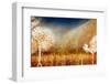 Autumn Fantasy 1-Ursula Abresch-Framed Photographic Print