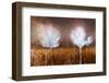 Autumn Fantasy 2-Ursula Abresch-Framed Photographic Print