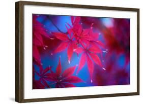 Autumn Fantasy-Philippe Sainte-Laudy-Framed Photographic Print